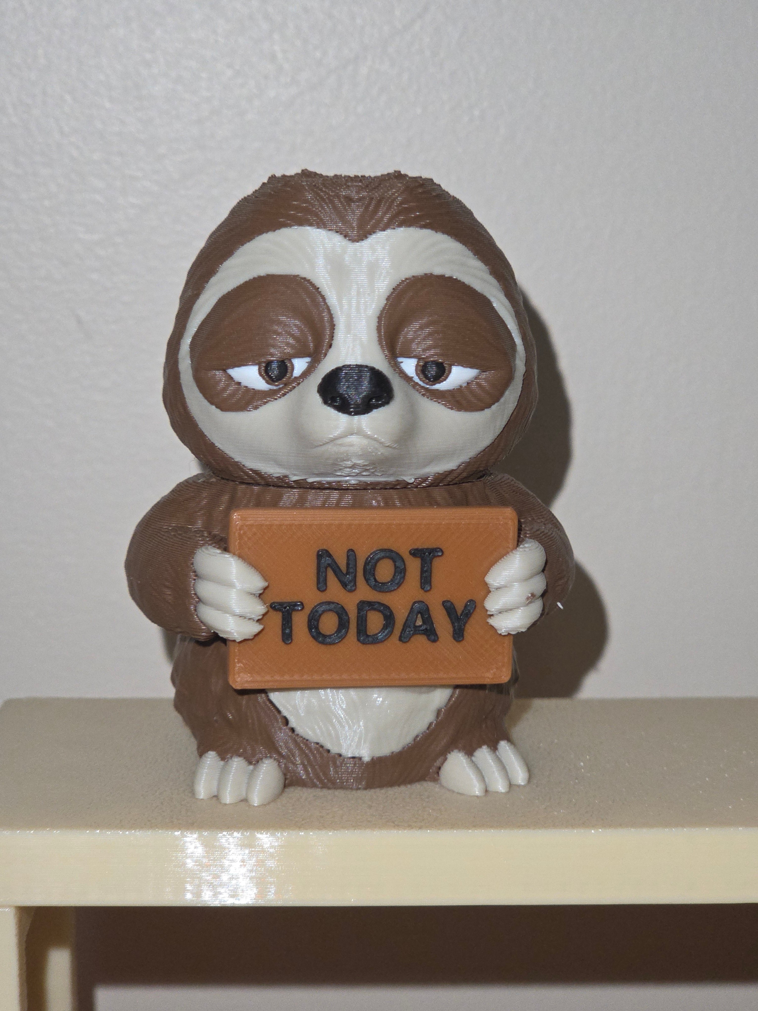 Grumpy sloth holding a sign that says NOT TODAY