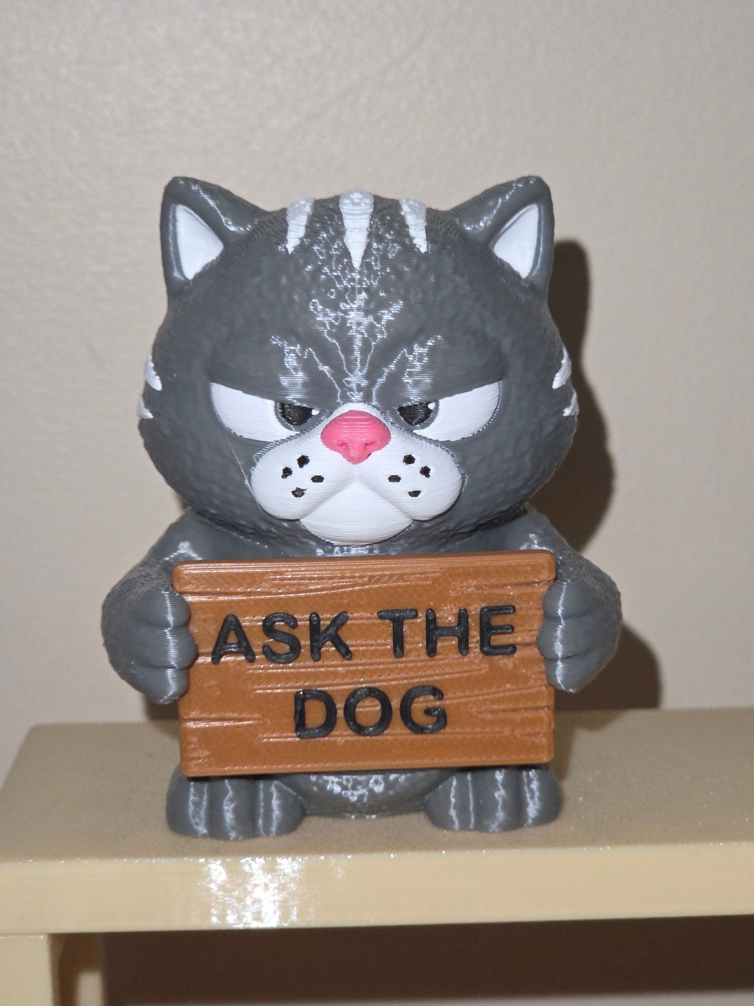 Animals With Attitude - Cat
