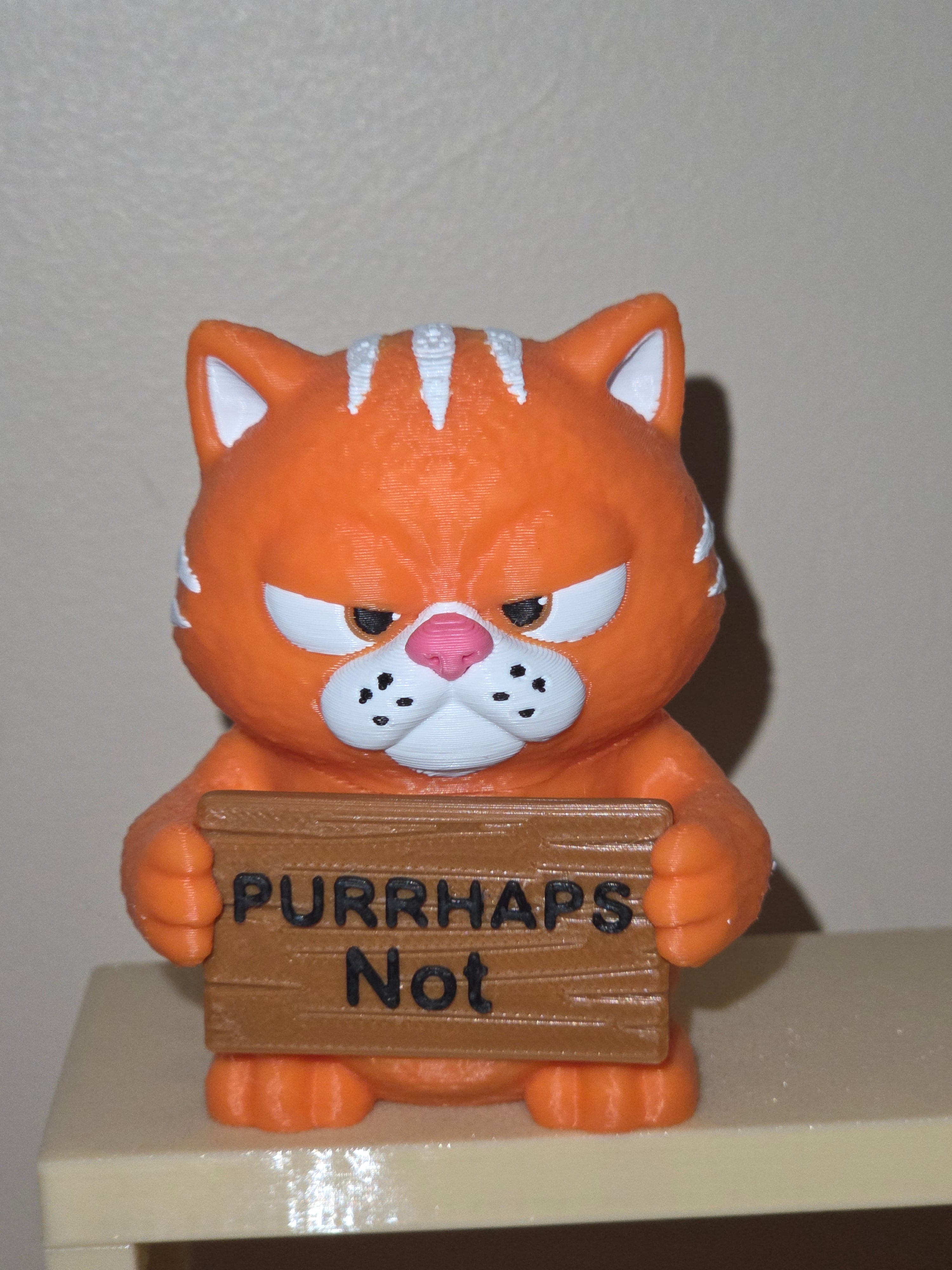 Animals With Attitude - Cat
