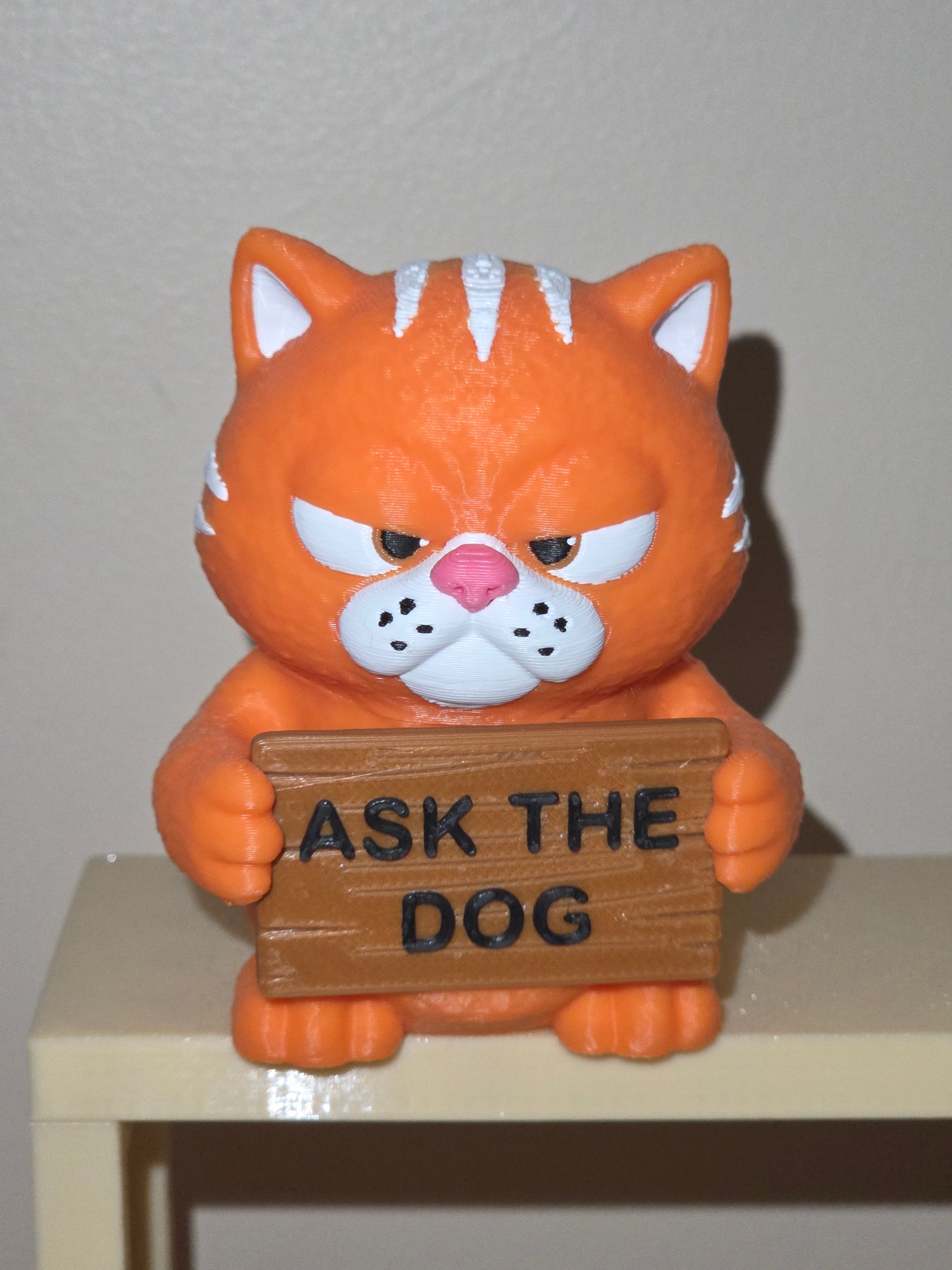 Animals With Attitude - Cat