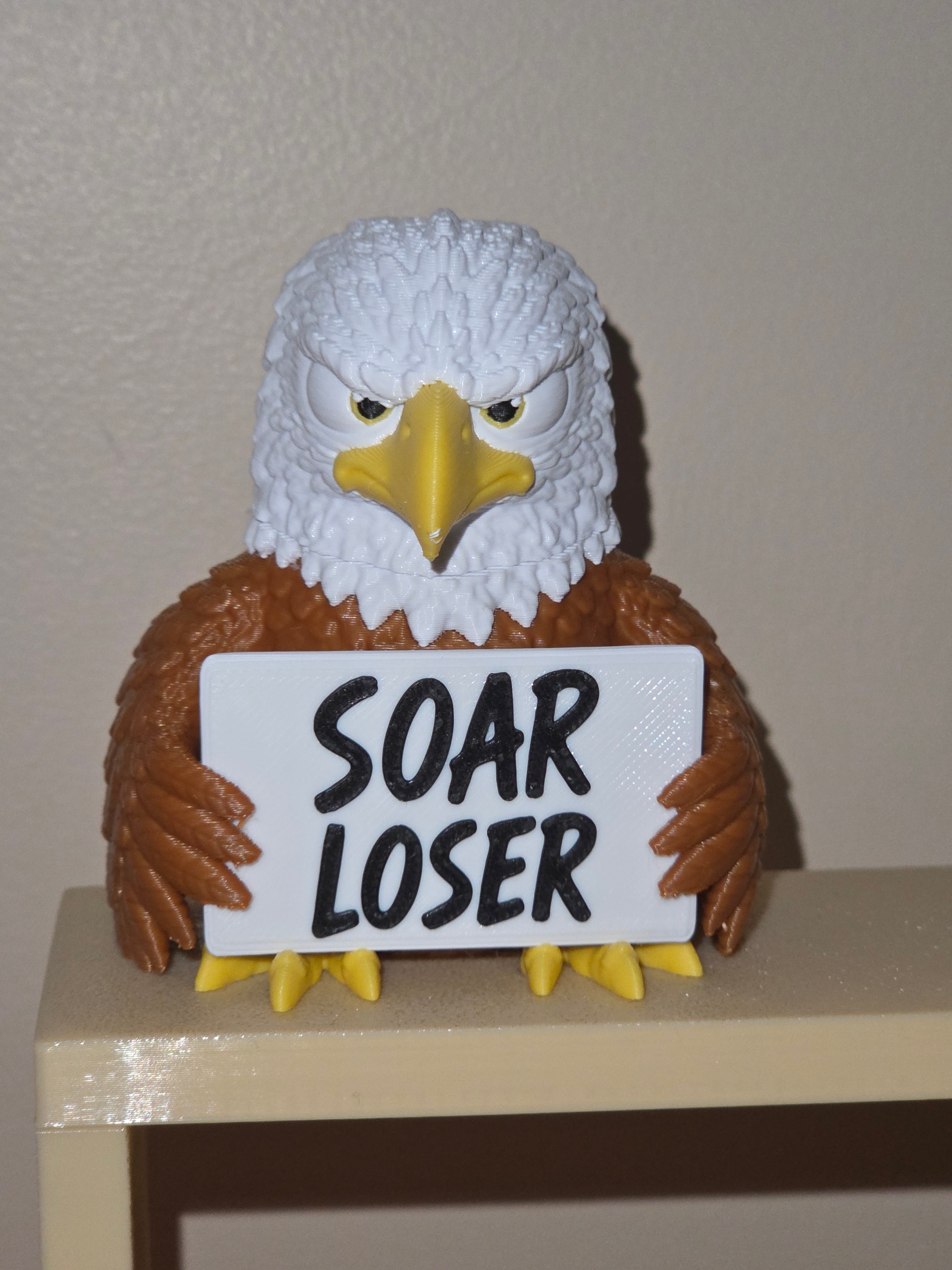 Animals With Attitude - Bald Eagle